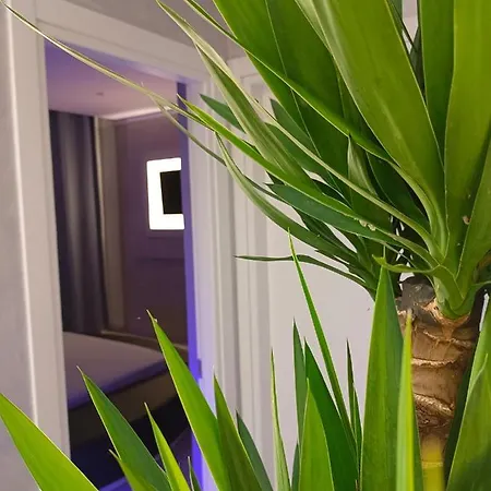 Apartmán Deamarina